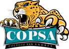 COLEGIO SAN ANDR&Eacute;S -COPSA-